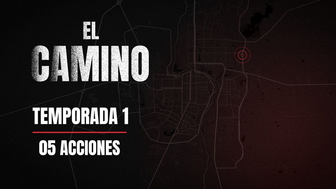 05 ACCIONES