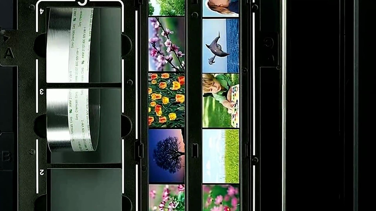 Epson B11B210201 Perfection V550 Review: 6400x6400 dpi Photo Scanner