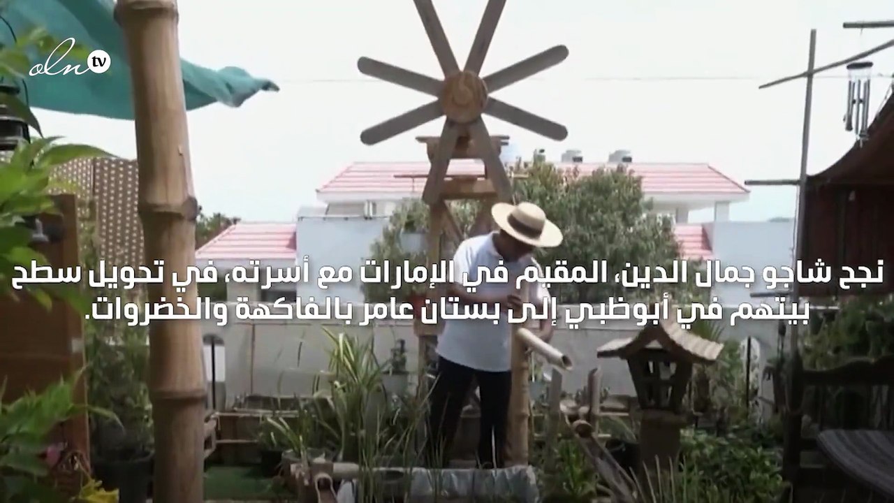 مقيم في أبوظبي يحول سطح بيته إلى بستان