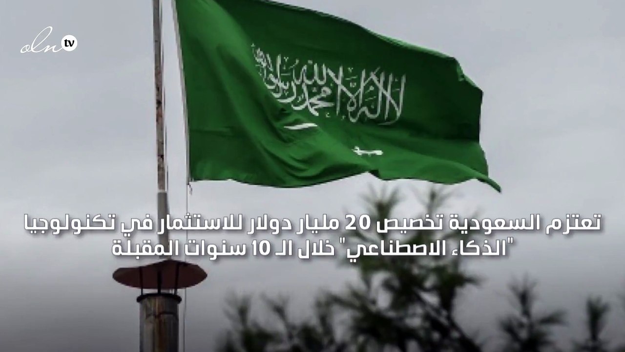 السعودية تخصص 20 مليار دولار للاستثمار في "الذك...