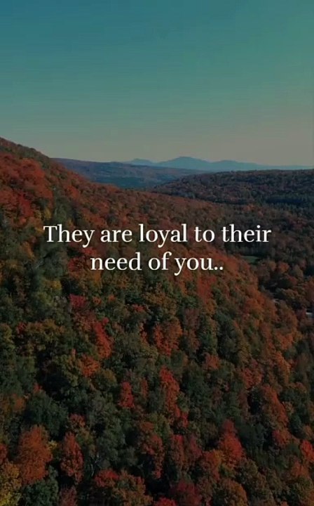 Loyalty or Convenience. Know the Difference