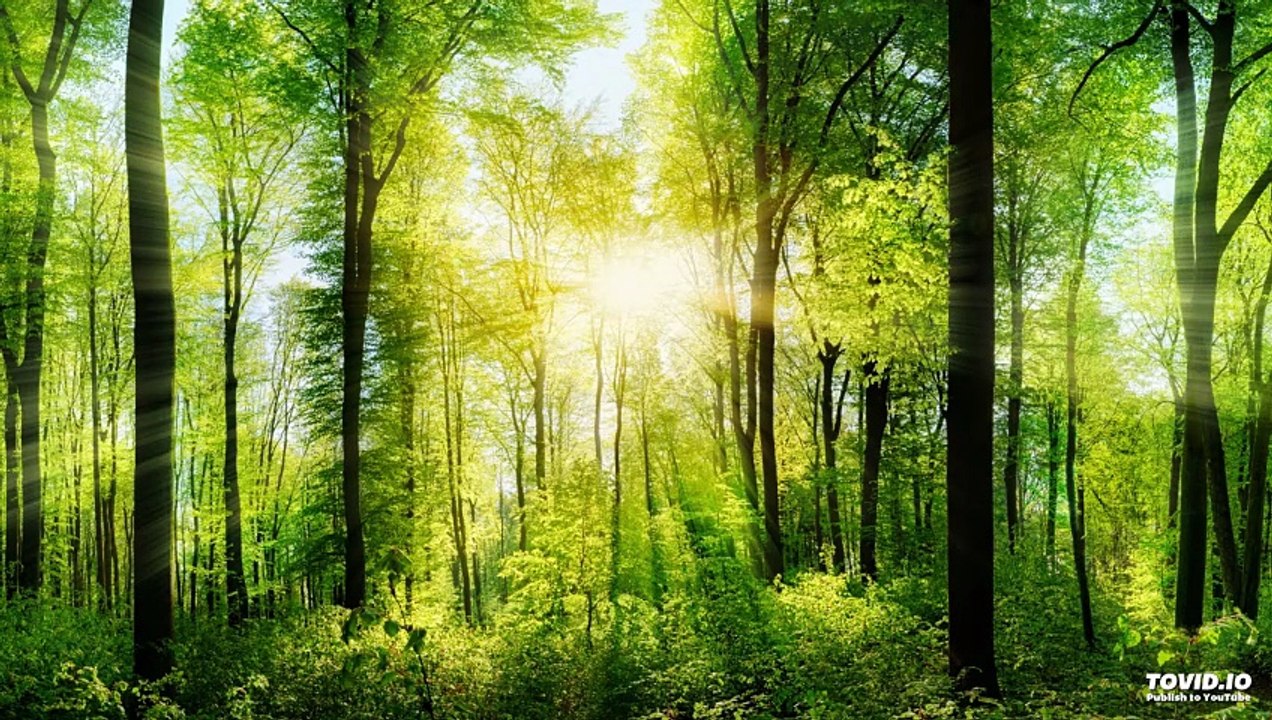 29 שער הנקודים פרק א חלק ג | אוצרות חיים למתחילים | הרב אריאל סיבוני | שיעורים והקדמות לחוכמת הקבלה