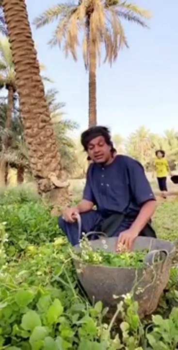 السعودية تشهد ظاهرة نادرة لا تتكرر إلا كل 300 عام