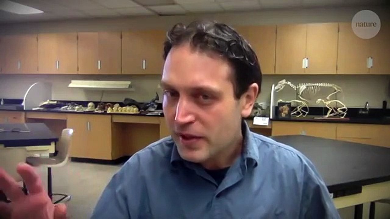 علماء يكتشفون أول ديناصور مائي بالعالم في المغرب