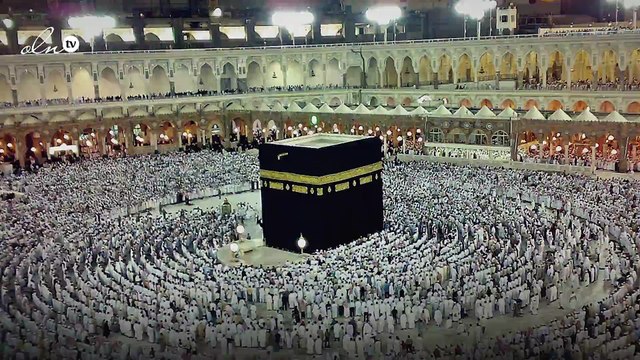 الحج : إصدار تأشيرات العمرة إلكترونيًا والدفع من بلد المعتمر