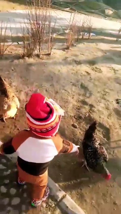 Catching Birds