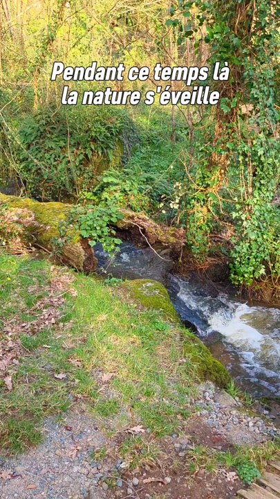 Heureusement que la nature n'a pas besoin de nous pour poursuivre son cycle ! 😆