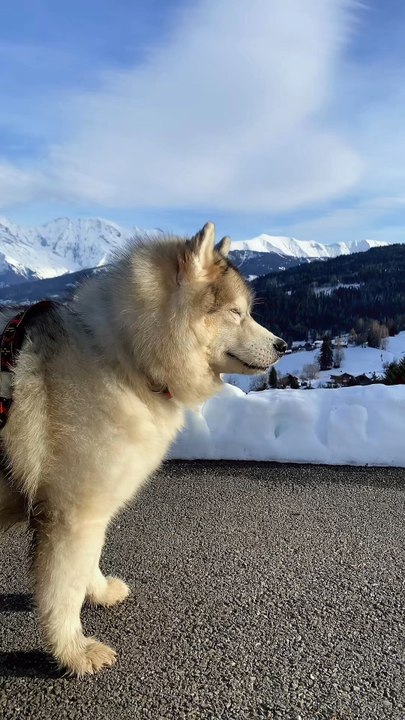 Je ferai toujours au mieux pour t’emmener la où tu veux être ma Athéna ♥️. Et notre calendrier est sur nos autres réseaux 💛
