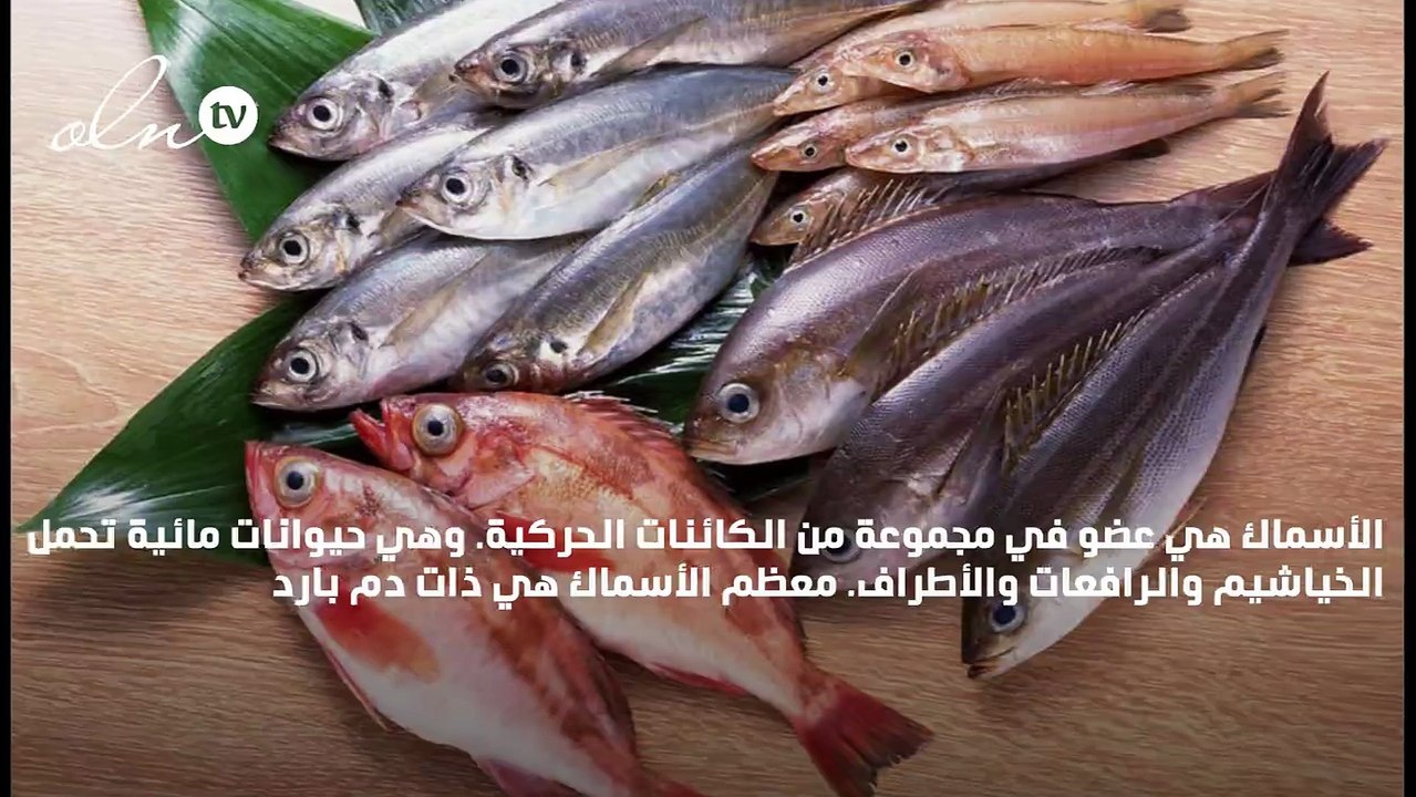 انواع الاسماك