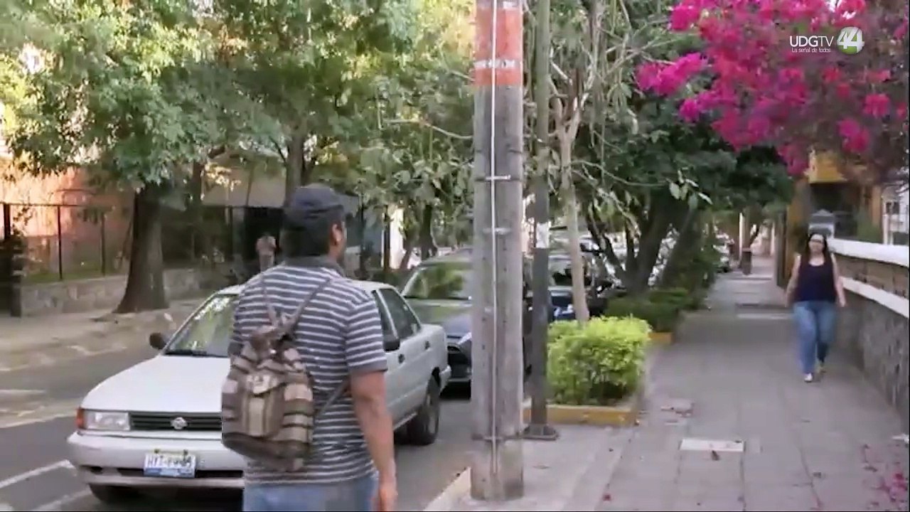 Delitos graves surgen de conflictos vecinales.