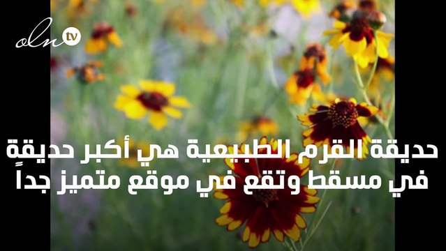 جوهر الطبيعة العُمانية، حديقة القرم الطبيعية، أكبر حديقة عمانية