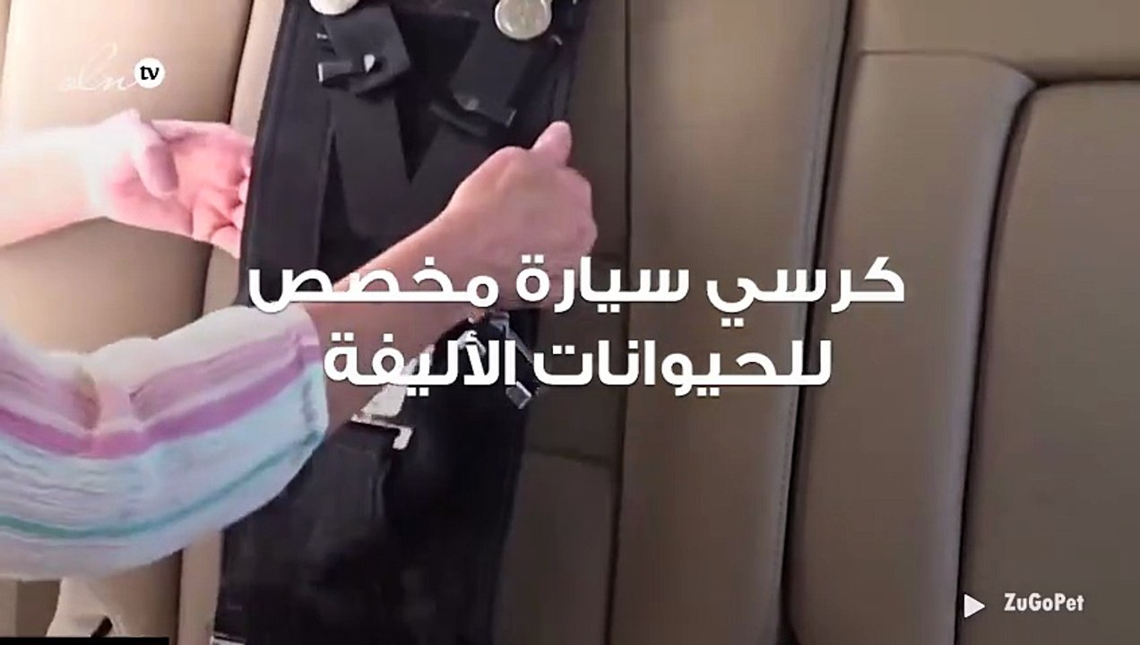 كرسي سيارة للحيوانات الأليفة