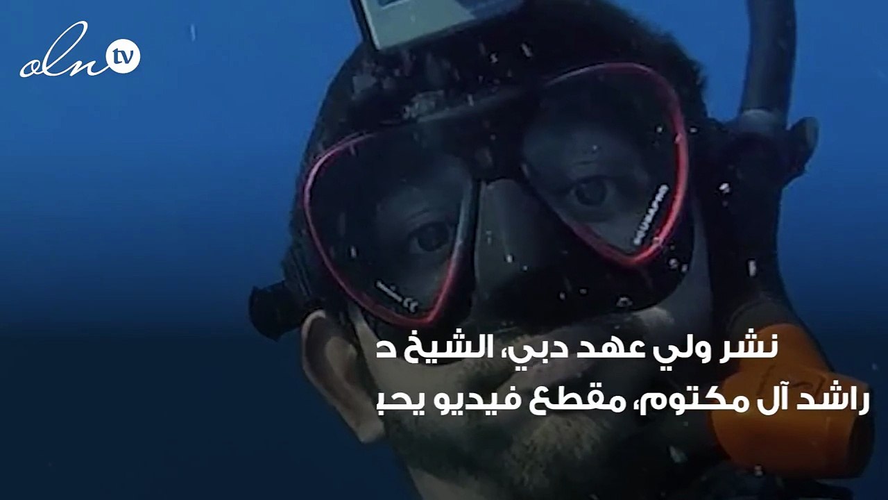 ولي عهد دبي يسبح مع أكبر أنواع أسماك القرش