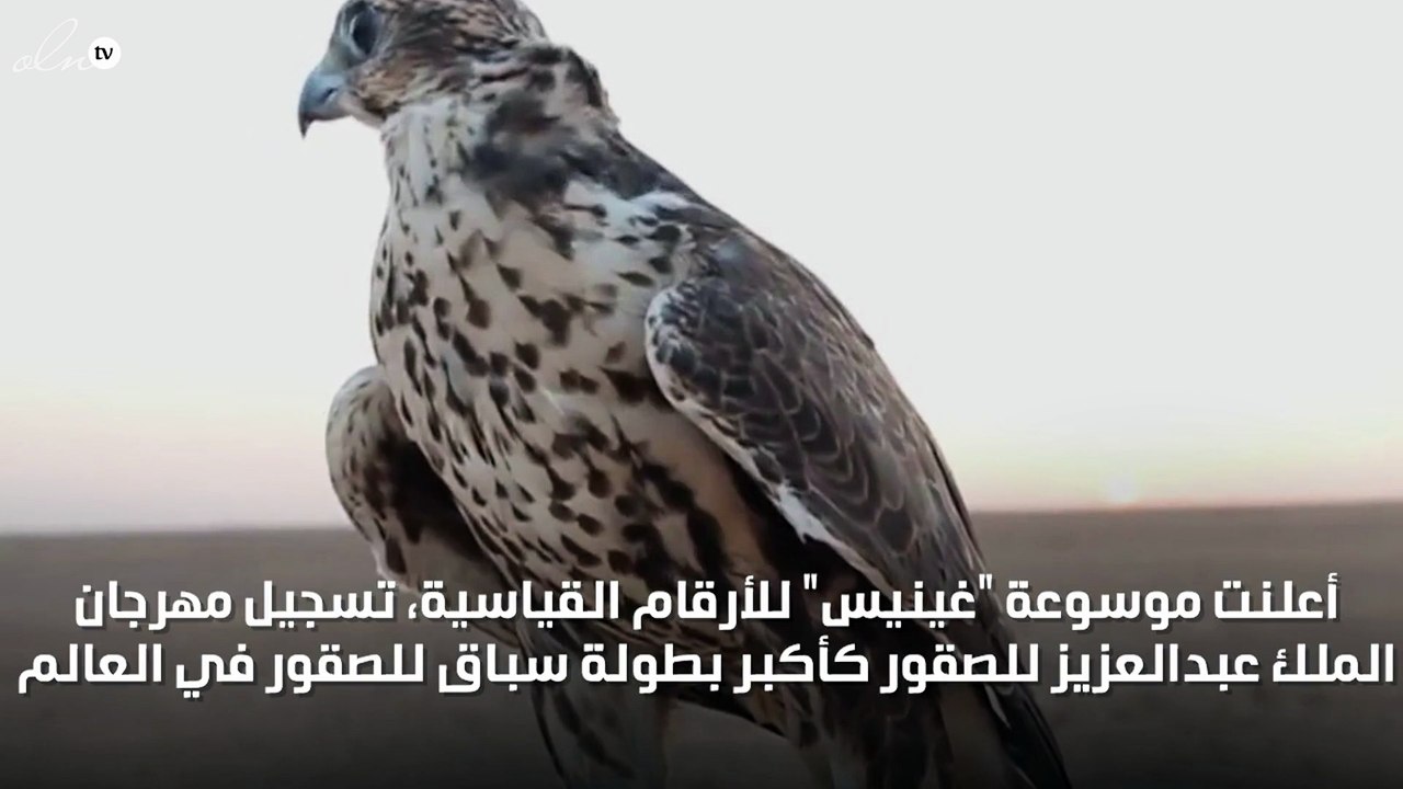 مهرجان الملك عبدالعزيز للصقور يدخل موسوعة غينيس
