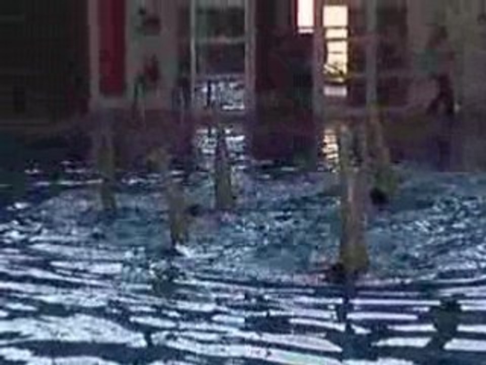 ballet promo minimes chenôve 2008