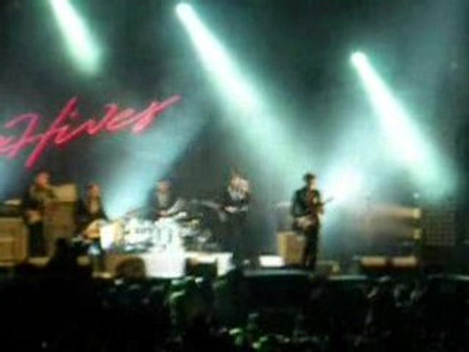 the hives papillon de nuit