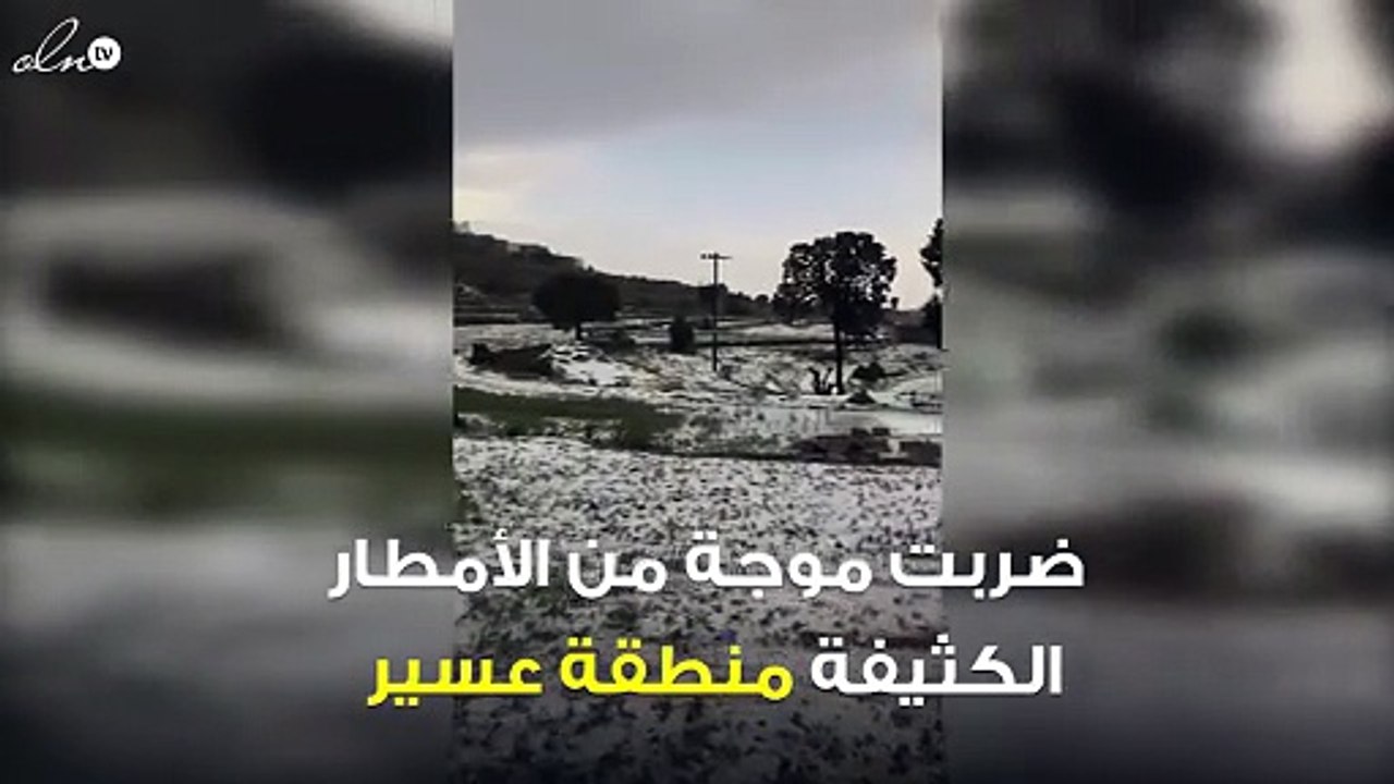 أمطار غزيرة تكسو جبال عسير في السعودية باللون الأبيض