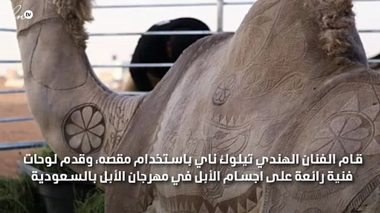 رسوم فنية رائعة على أجساد الإبل بمقص رسام هندي
