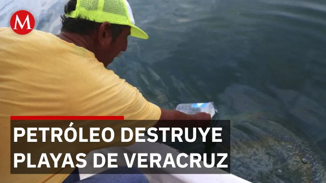 Empiezan labores de limpieza en Veracruz por derrame de hidrocarburo; amenaza ecosistemas