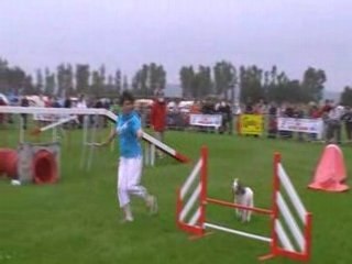 Polène agility 2
