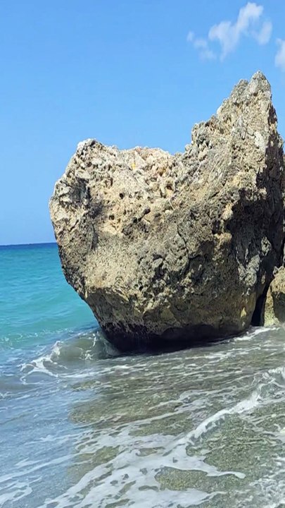 ☀️ Aventure Tropicale : Paysages Magnifiques et Nature à l'État Pur