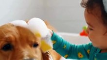 Toddler Gives dog the Cutest Bubble Bath Ever ️