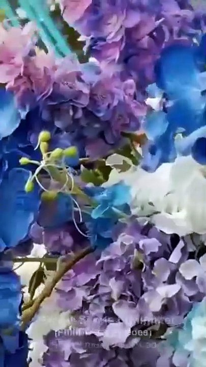 Swift Vows Love Story Unfolds [Full Movie] [Recommended]