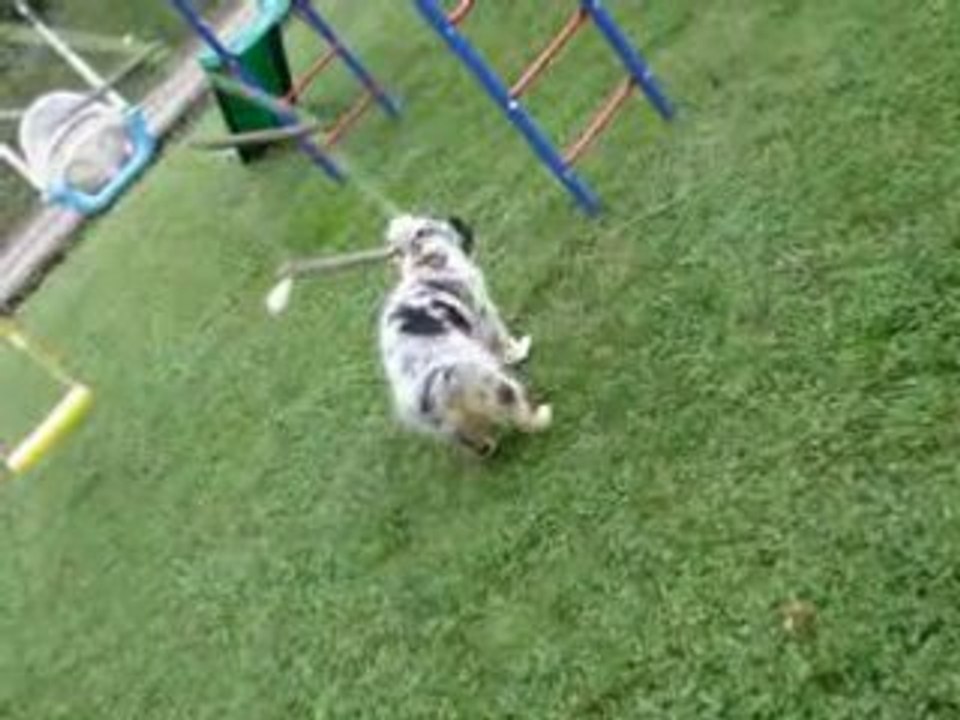 daika et la balançoire