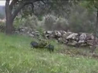 4x4 lawn mower tondeuse rc