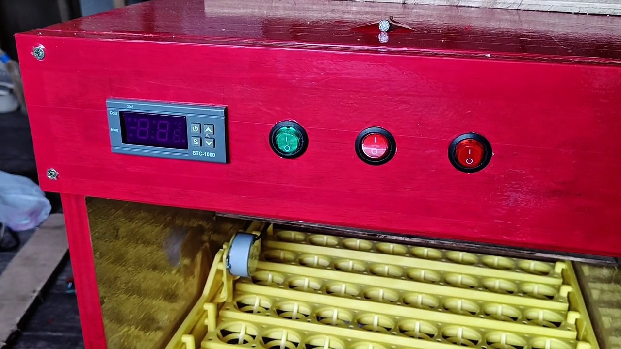 Jeffrey Completes His DIY Chicken Egg Incubator Project 🐣🛠️