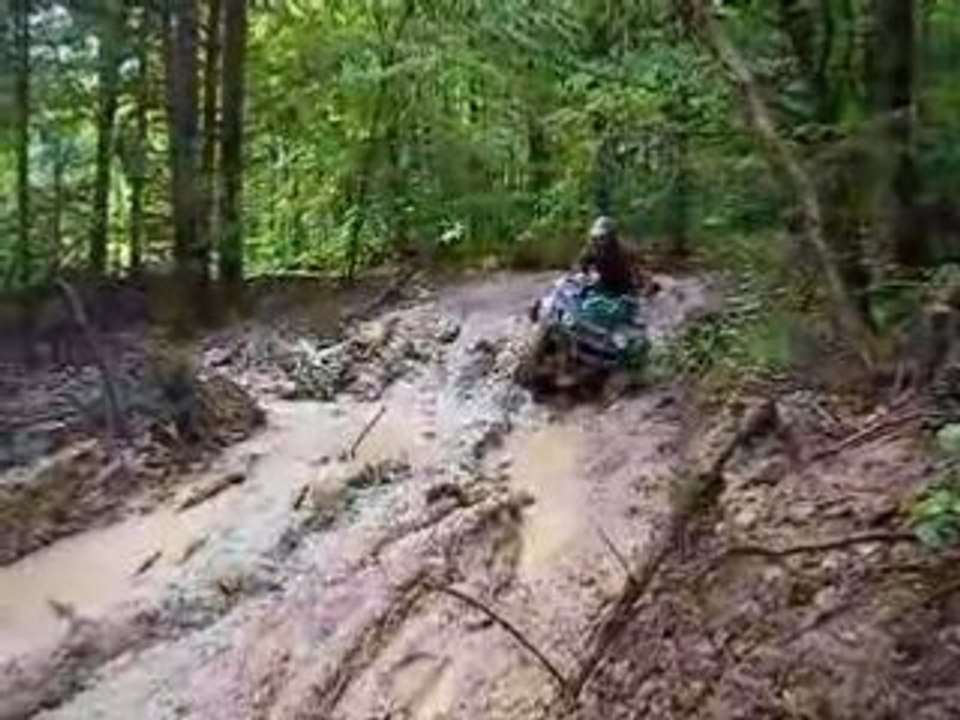 Bruin passage bien gras