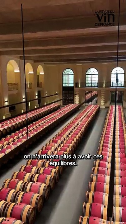 Comment le Château Montrose se prépare au climat de 2070