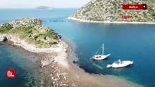 Bodrum'da deniz çekildi tarihi Kral Yolu ortaya çıktı