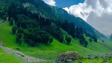 Nature Ambience with Light Piano