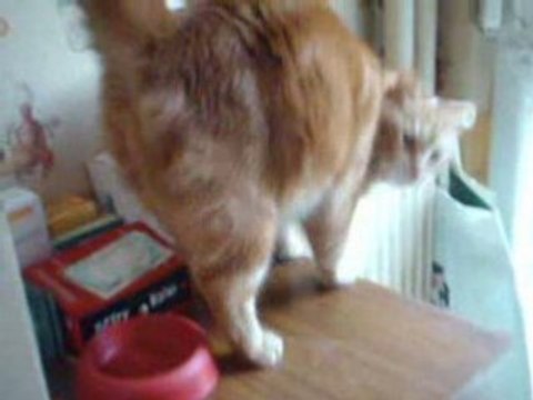 Ma Petite Ma Famille