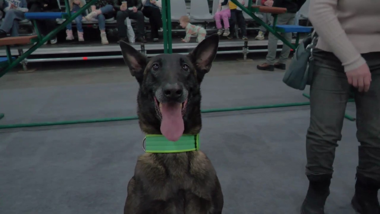 [RU] Moscow: Walking Tour [Pet Show / Panasonic HC-X1600]