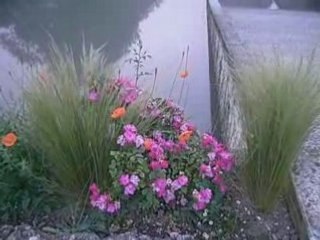 Camping Défi Charentais