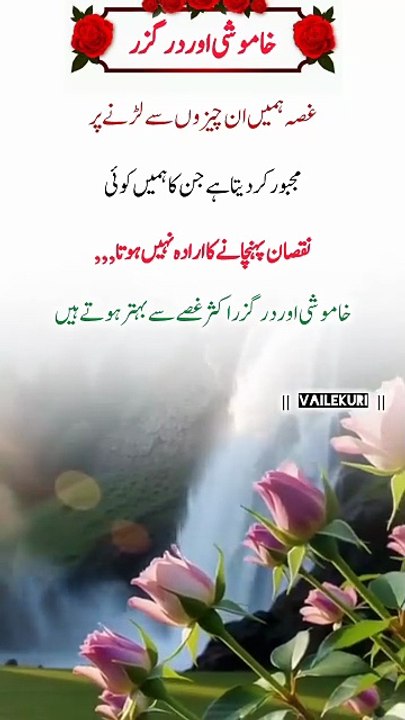 Quotes