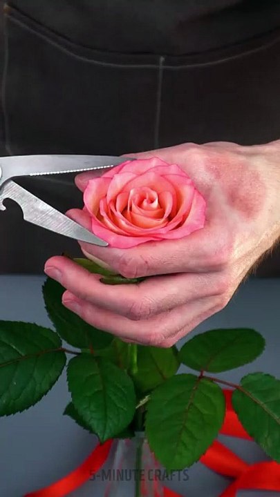 Magical Flower Transformation With Scissors! 🌹➡️🌺✂️