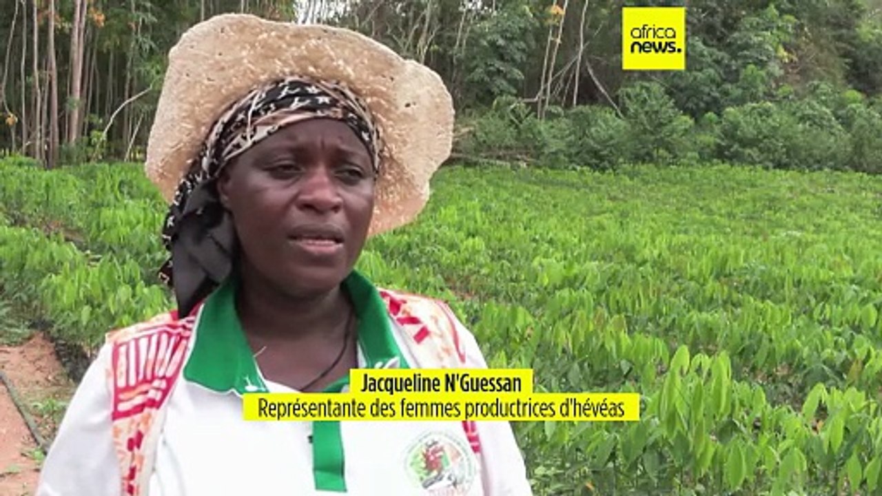 Côte d'Ivoire : 5 % des femmes possèdent des terres agricoles, les ONG tentent de combler l'écart