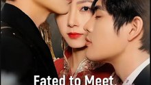 Fated To Meet, Doomed To Part ✅2026 - FULL EP