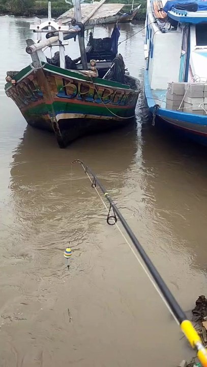Wait for it 🎣⚠️