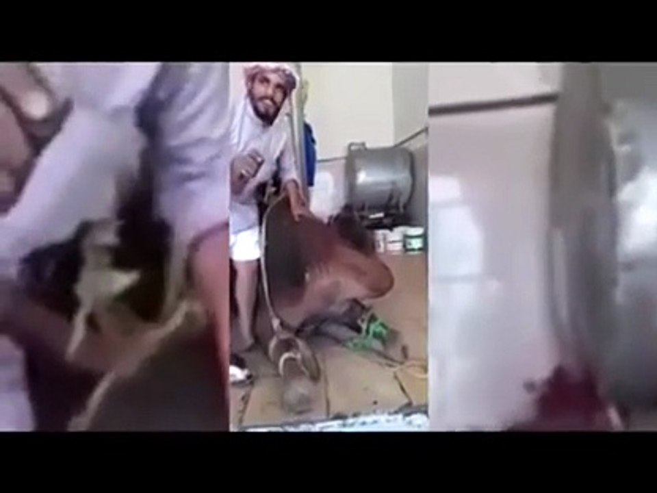 حرس الحدود في الجوف يحبطون عملية تهريب .. ومواطن يشكرهم بهذه الطريقة .. فيديو