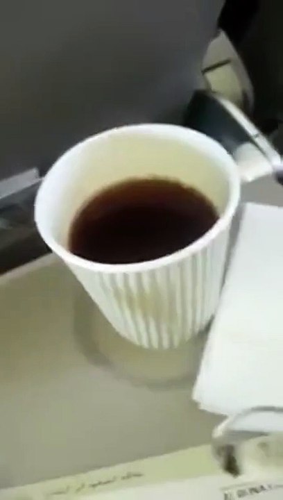 سعودي يقاضي الخطوط الجوية السعودية.. والسبب ذبابة