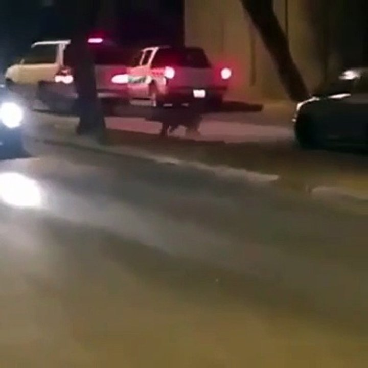 شاهد فهد يتجوّل بحرية في شوارع المملكة