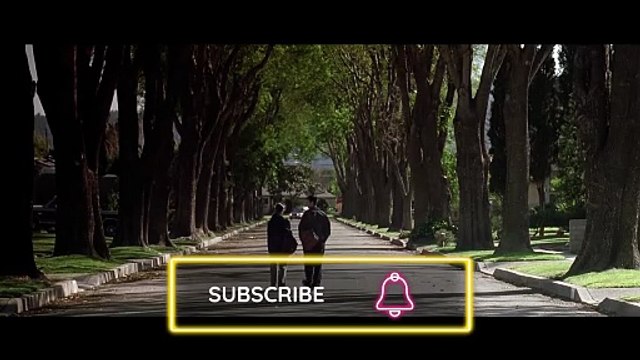 The Plastic Bag Footage American Beauty