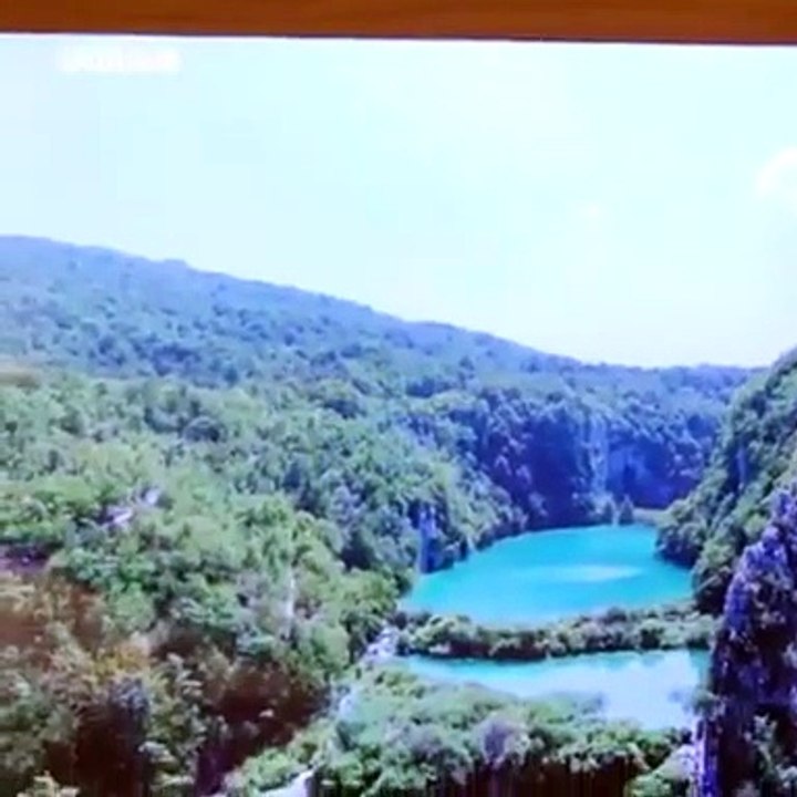 بالفيديو .. تلفاز شفاف .. أحدث إبداعات شركة باناسونيك