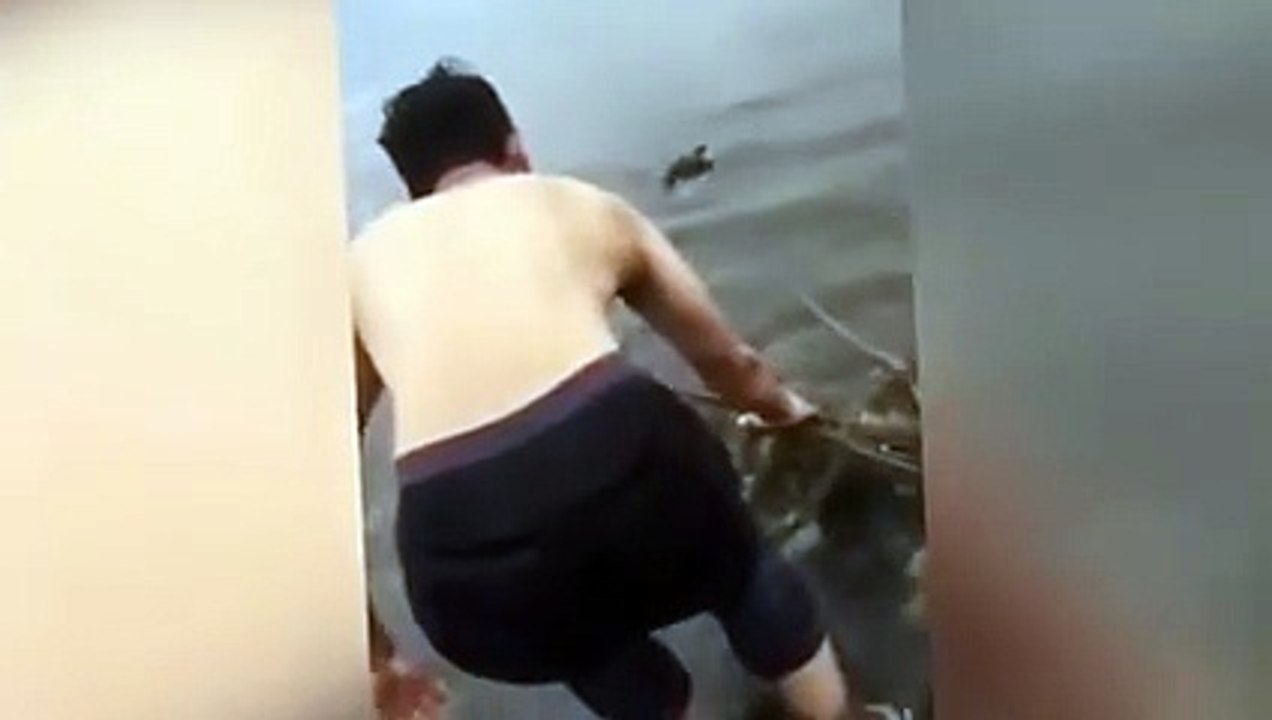شاهد هذا الرجل وهو يقفز في المياه لإنقاذ دب الكوالا