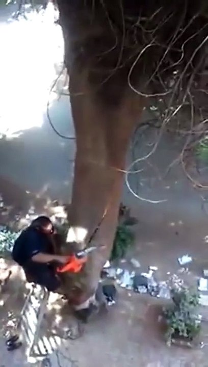 شاهد كيف ندم هذا الرجل على قطعه لهذه الشجرة