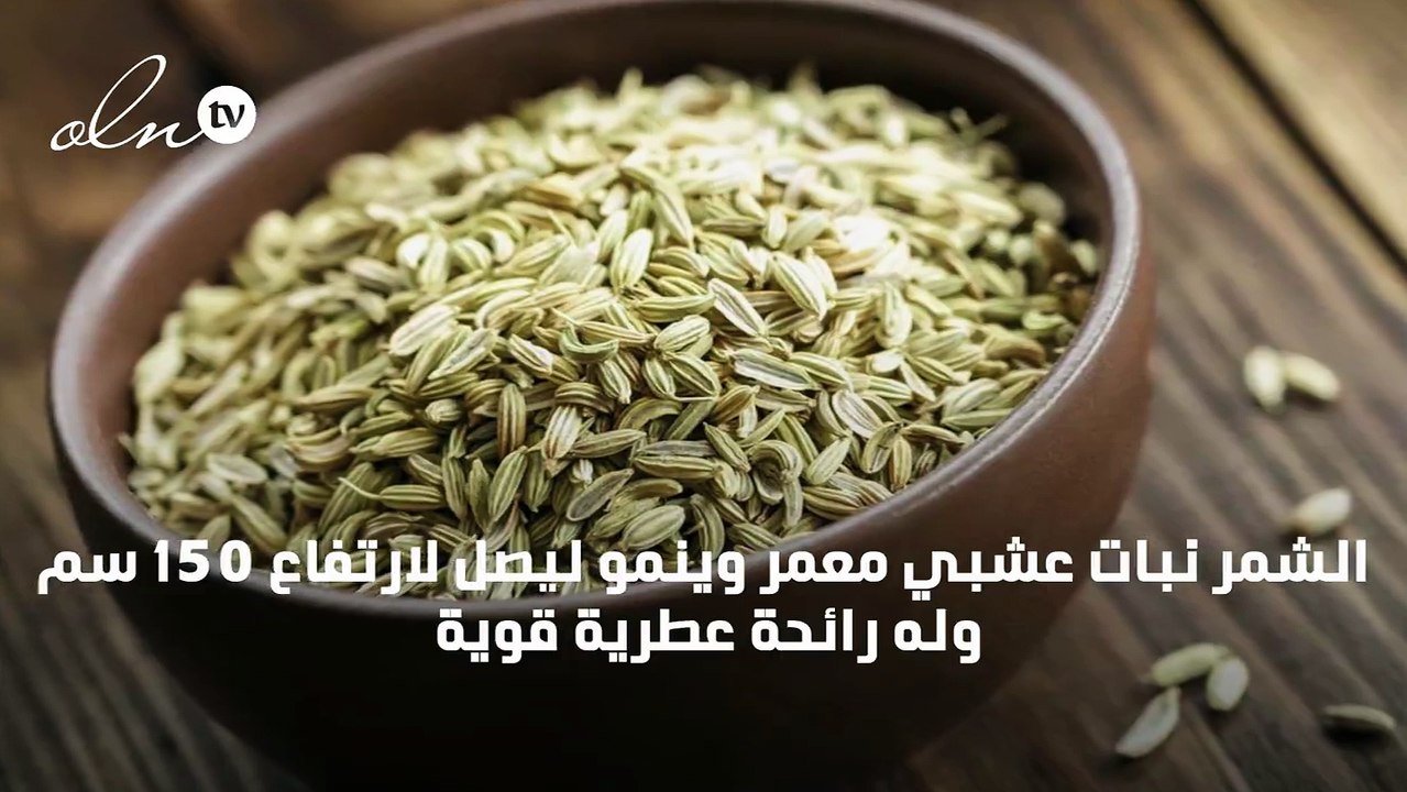 فوائد عشبة الشمر للتنحيف